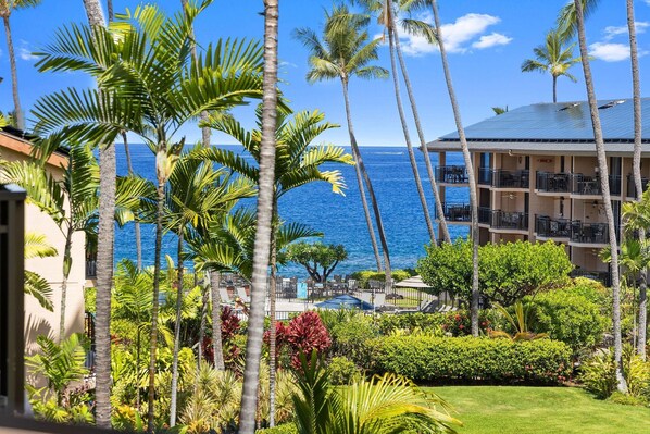 Lägenhet - 1 queensize-säng (Kona Makai 3-205) | Boendeområde