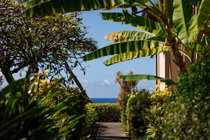 Appart'hôtel, 1 grand lit et 1 canapé-lit (Kona Makai 3-205) | Enceinte de l’hébergement