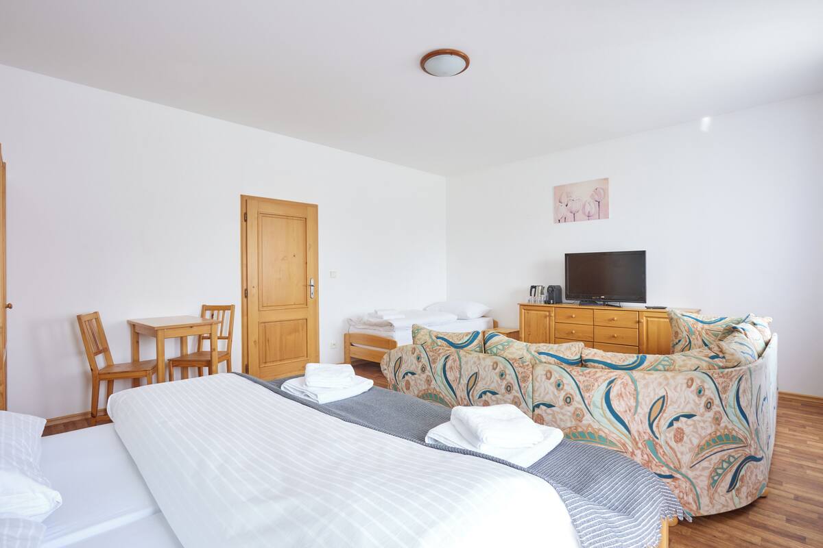A hotel room with a bed, a desk, a chair, a television, and a sofa.
