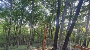 Une terrasse en bois avec des sièges et une table, entourée d’une forêt.