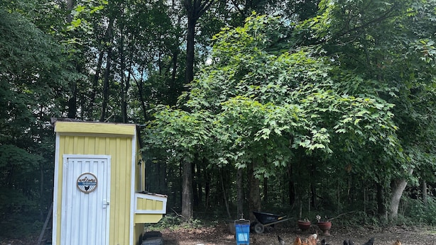 Un petit abri jaune avec une porte blanche et une pancarte « Bienvenue », entouré d’arbres et d’un groupe de poules.