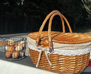 A wicker basket with a handle and a metal basket containing eggs.