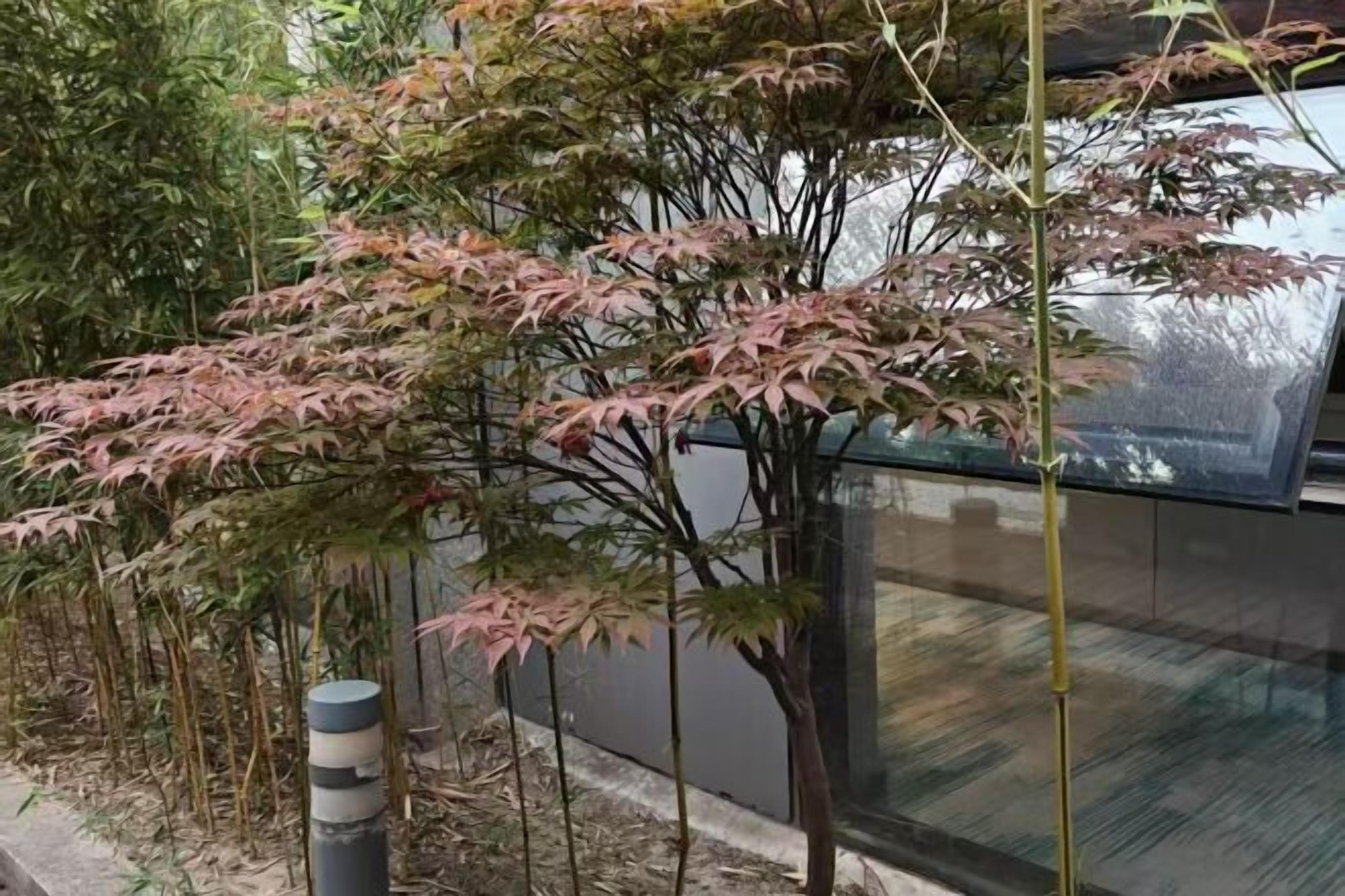 Una habitación con paredes de vidrio y vistas a un jardín.