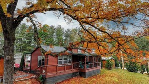 A cabin with a porch, surrounded by autumn foliage. - Cozy hot tub cabin in charming Scaly Mountain, what a gem! (Scaly Mountain)