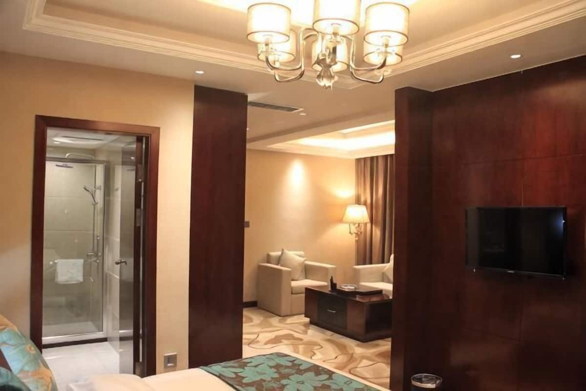 A hotel room with a bed, a TV, a desk, a chair, a lamp, and a shower.