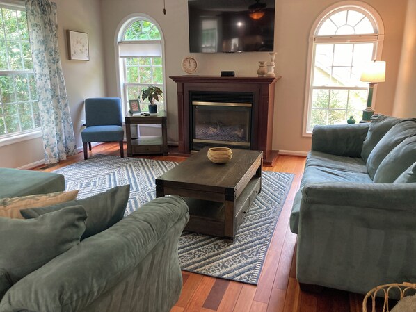 Smart TV, fireplace, books, computer monitors