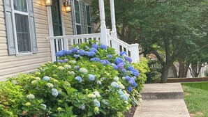Ein Haus mit Veranda, einem Betonweg und einem Garten mit Hortensienblüten.