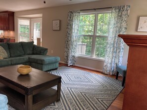 Smart TV, fireplace, books, computer monitors