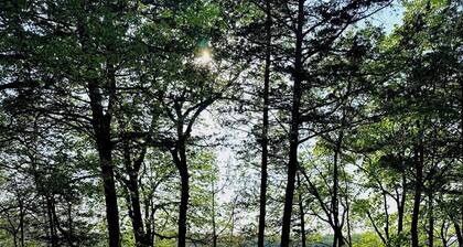Ruby's Red Door Retreat on Swenson Lake welcomes you to serenity