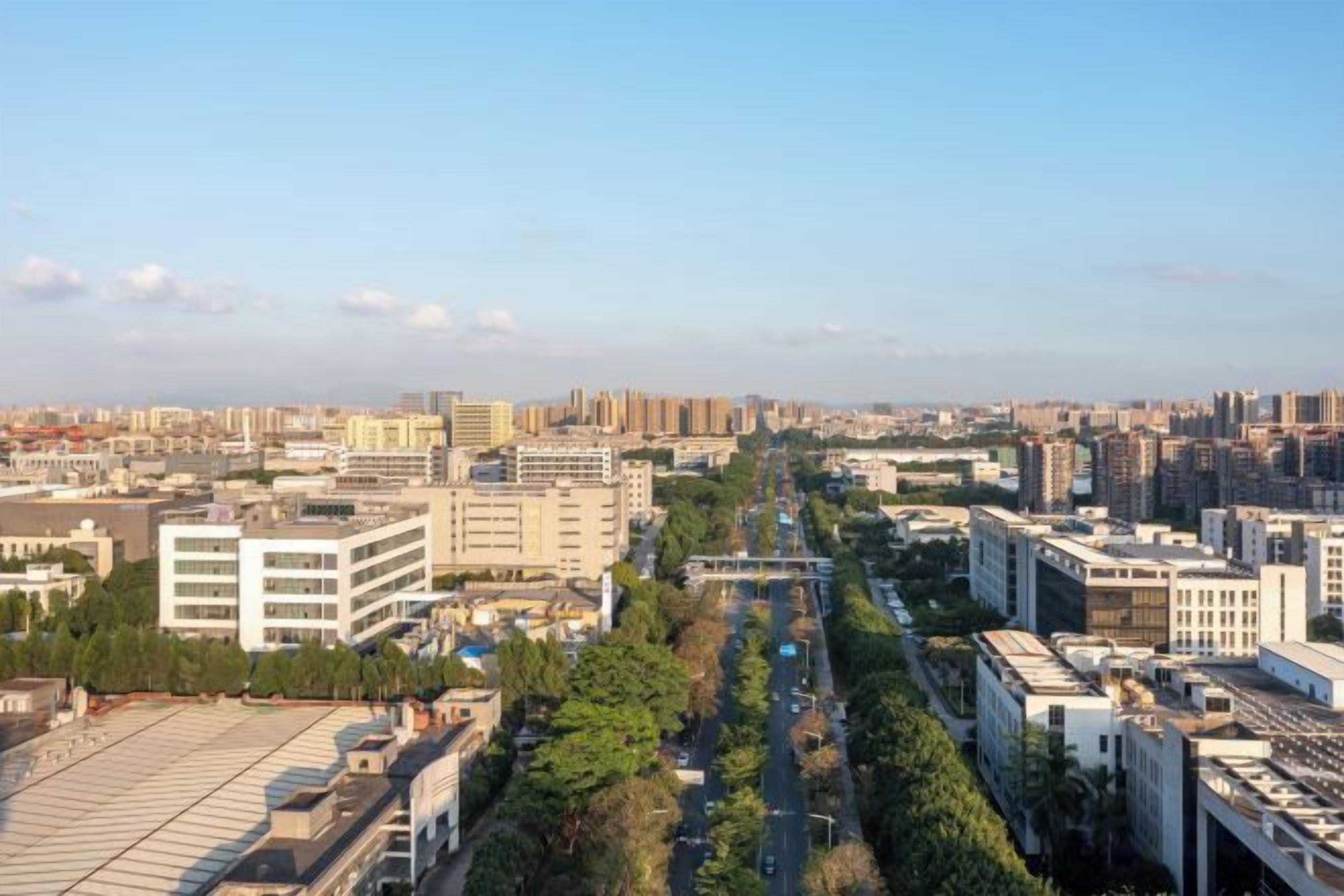 A cityscape with modern buildings, a clear sky, and a road lined with trees.