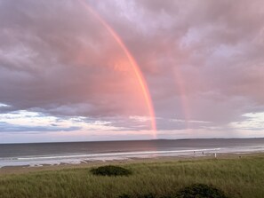 En la playa y camastros 