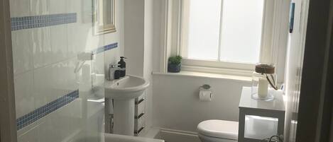 Secador de pelo, toallas, jabón y champú