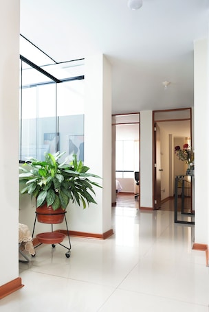 Interior. Elegant Surco Flat