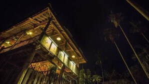 A multi-story wooden structure with illuminated windows, surrounded by palm trees. - Meigonghe Inn (Jinghong)
