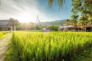 Property grounds - Naina Resort & Spa (Phuket)