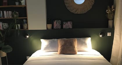 Cocon Urban Jungle - Studio rénové dans le centre ancien