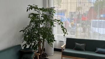 Accommodatievoorziening
