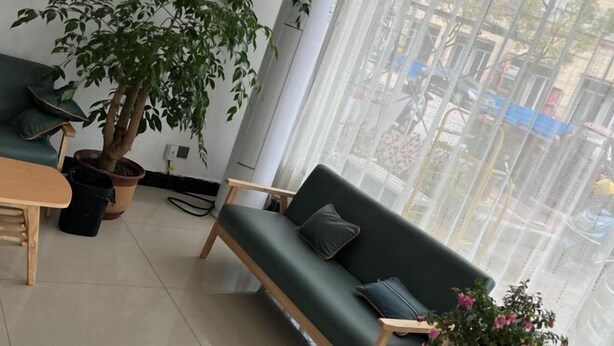 A modern living room with a green sofa, a wooden coffee table, and a potted plant. - Qianshan Tianzhu 168 Boutique Hotel (Qianshan)