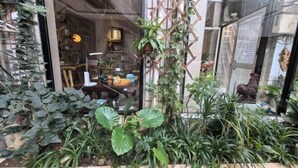 A conservatory with various plants and a glass door leading into a room with furniture and a lamp. - Jiahao Meisu Hotel (Guilin Jinshan Square) (Guilin)