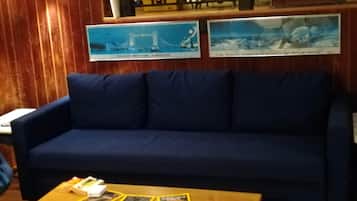 Books, music library