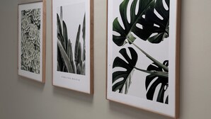 Three framed botanical prints on a wall in a hallway.