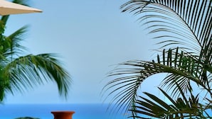 A terracotta pot on a tiled ledge with a view of the ocean.