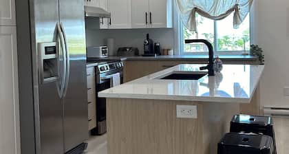 Jolie et Spacieux Appartement 2 Chambres Fraîchement Rénové et Bien Situé à Hull