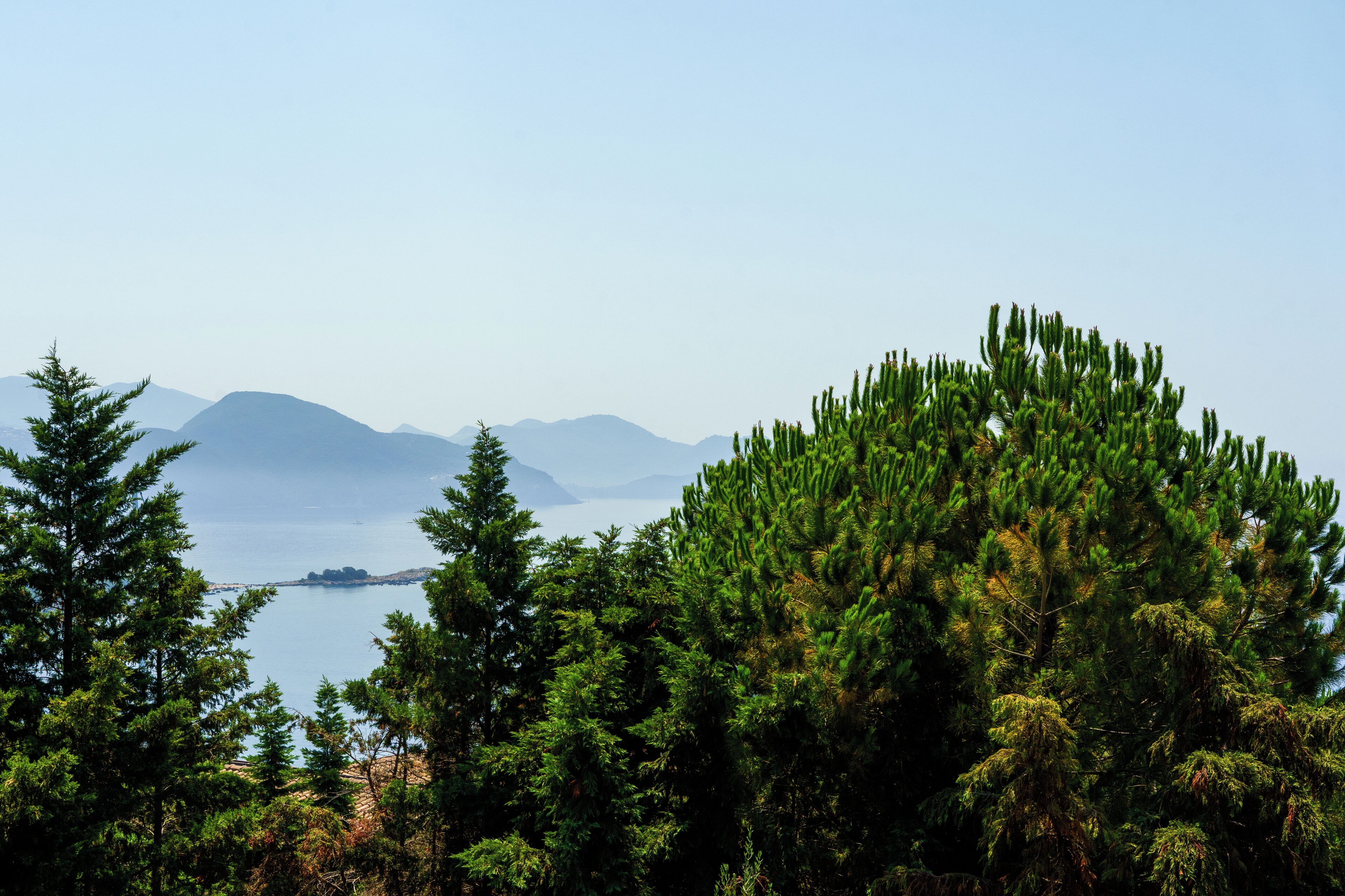 Paesaggio costiero con fitti alberi sempreverdi e montagne sullo sfondo.