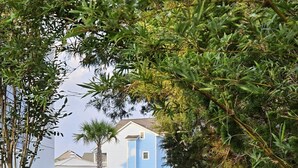 Un sentier en bois mène à un bâtiment bleu, entouré de verdure.