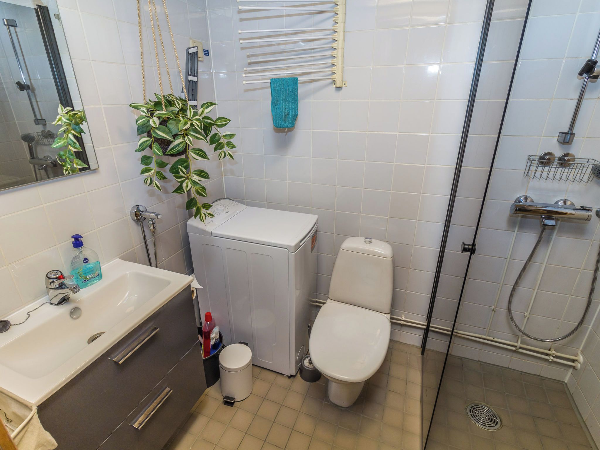 A bathroom with a shower, toilet, sink, and a plant.