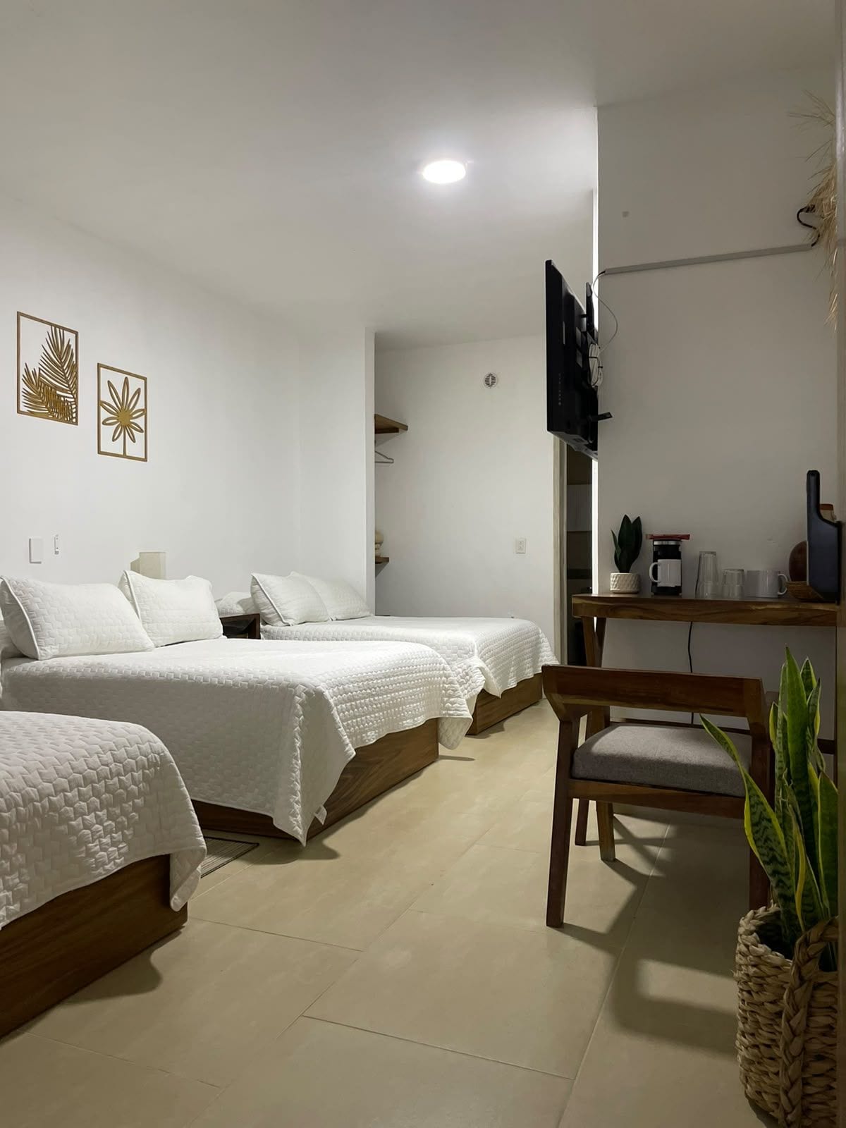 A hotel room with two beds, a TV, a small table with a plant, and a chair.