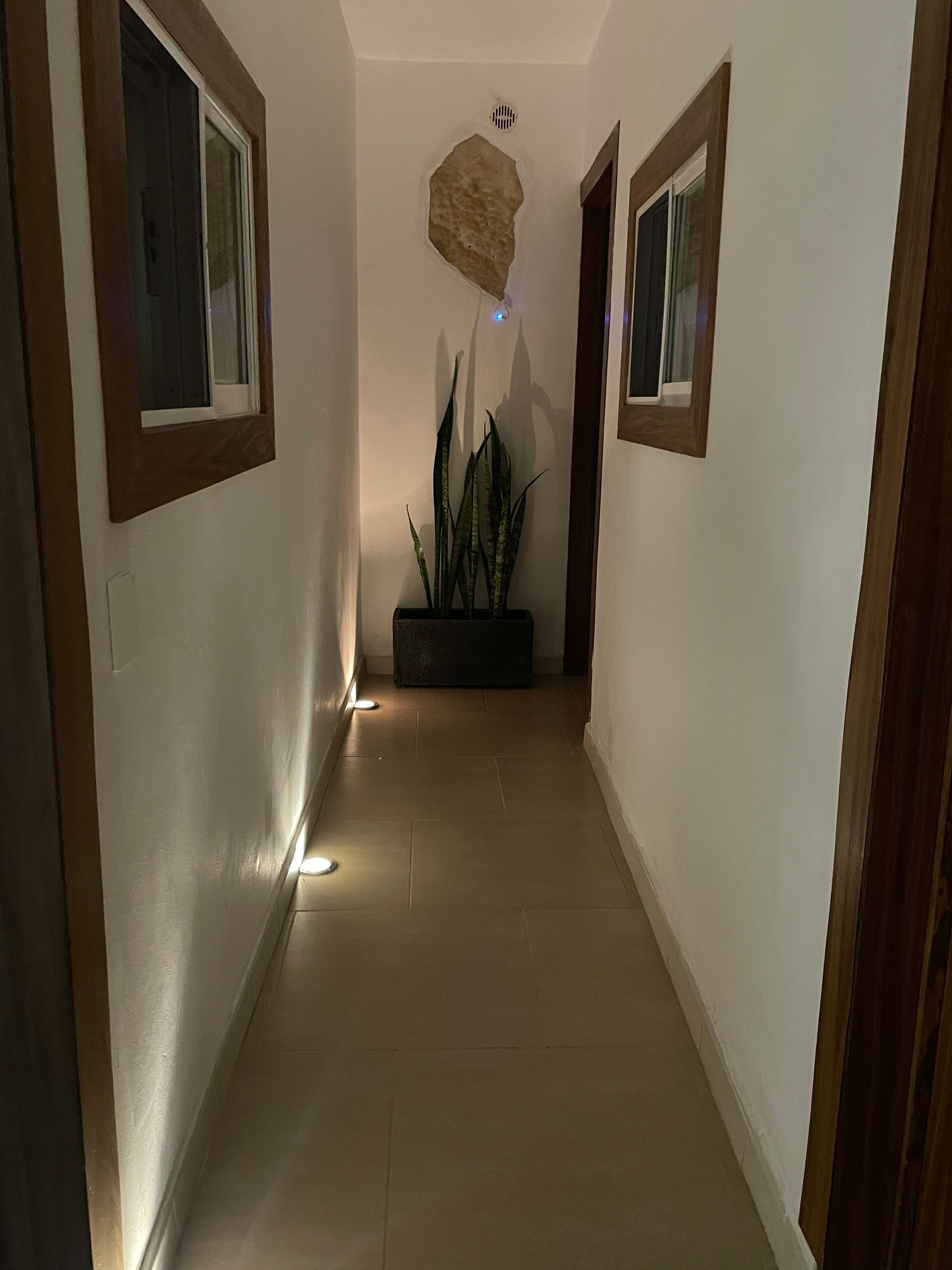Um corredor com uma planta em vaso, um respiradouro no teto e uma porta no final.