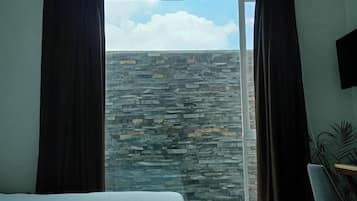 Basic Double or Twin Room, 1 King Bed, Courtyard View | View from room