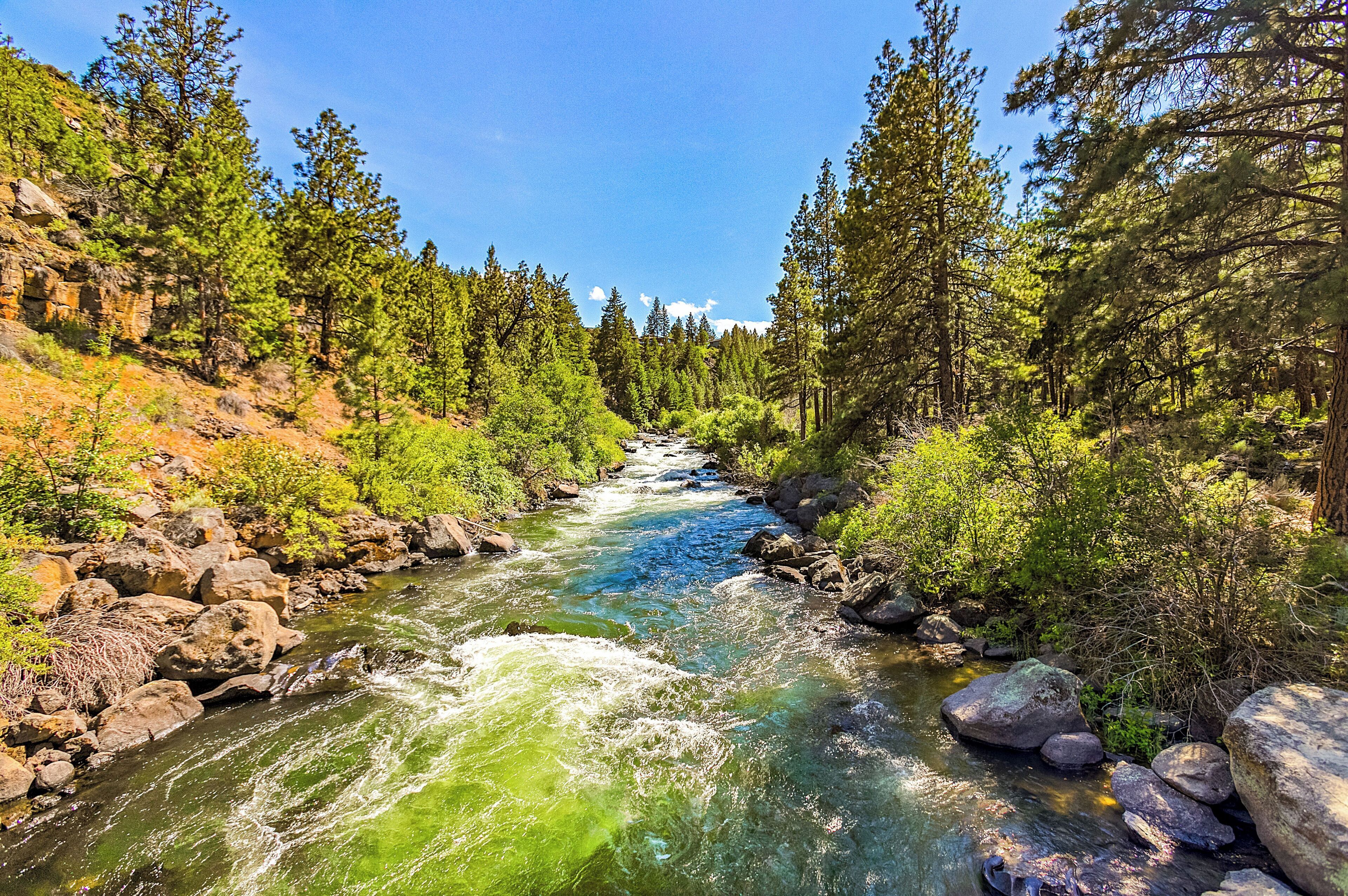 Un río serpenteando por una zona boscosa con rocas y árboles.