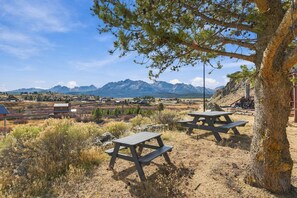 A picnic area with tables and benches, surrounded by dry grass and a tree, with a mountain range in the background.