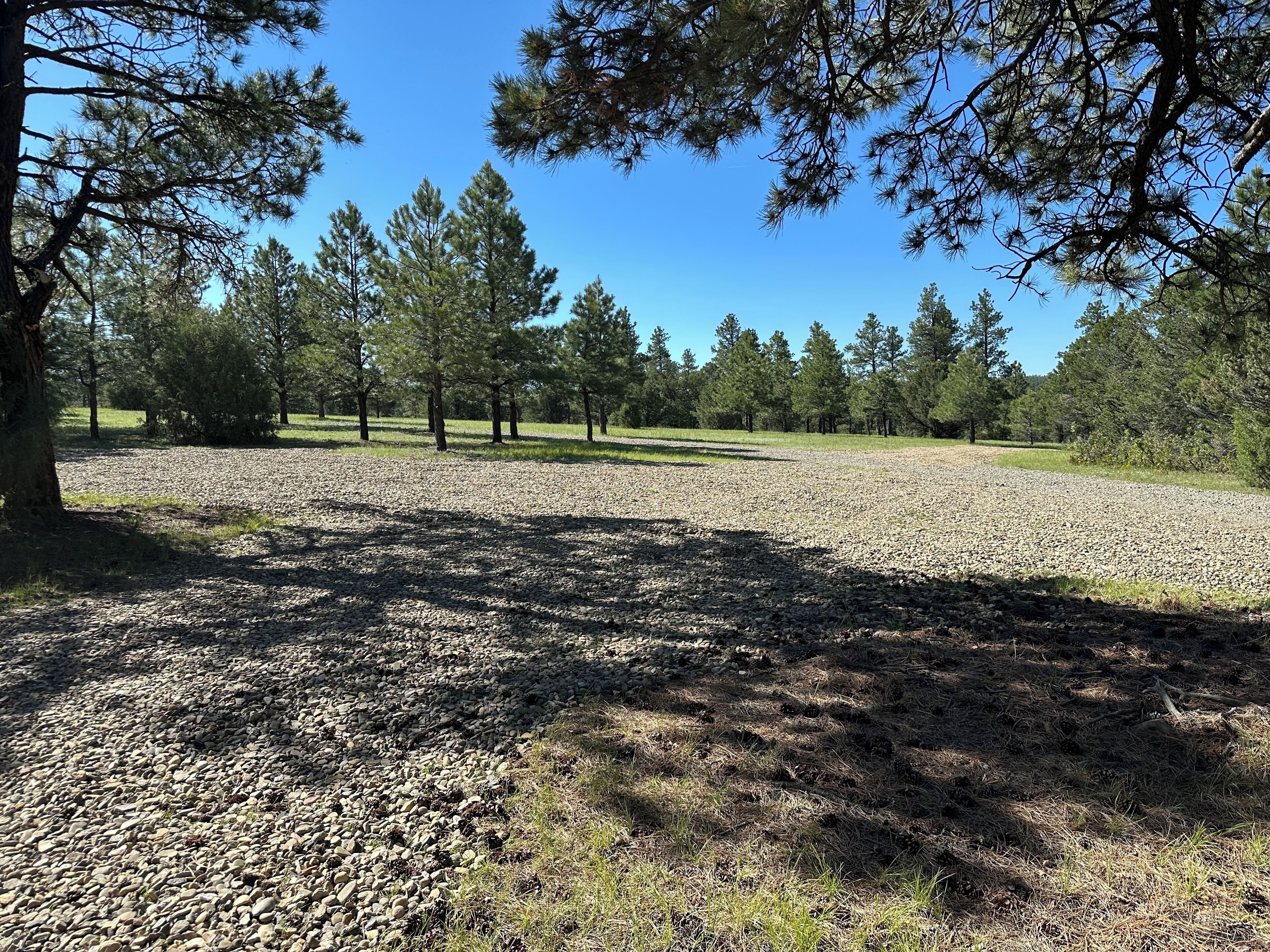 A gravel parking area with trees and grass in the background.