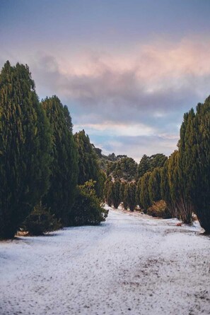Property grounds - Pousada Rota das Cachoeiras Urupema (Urupema)