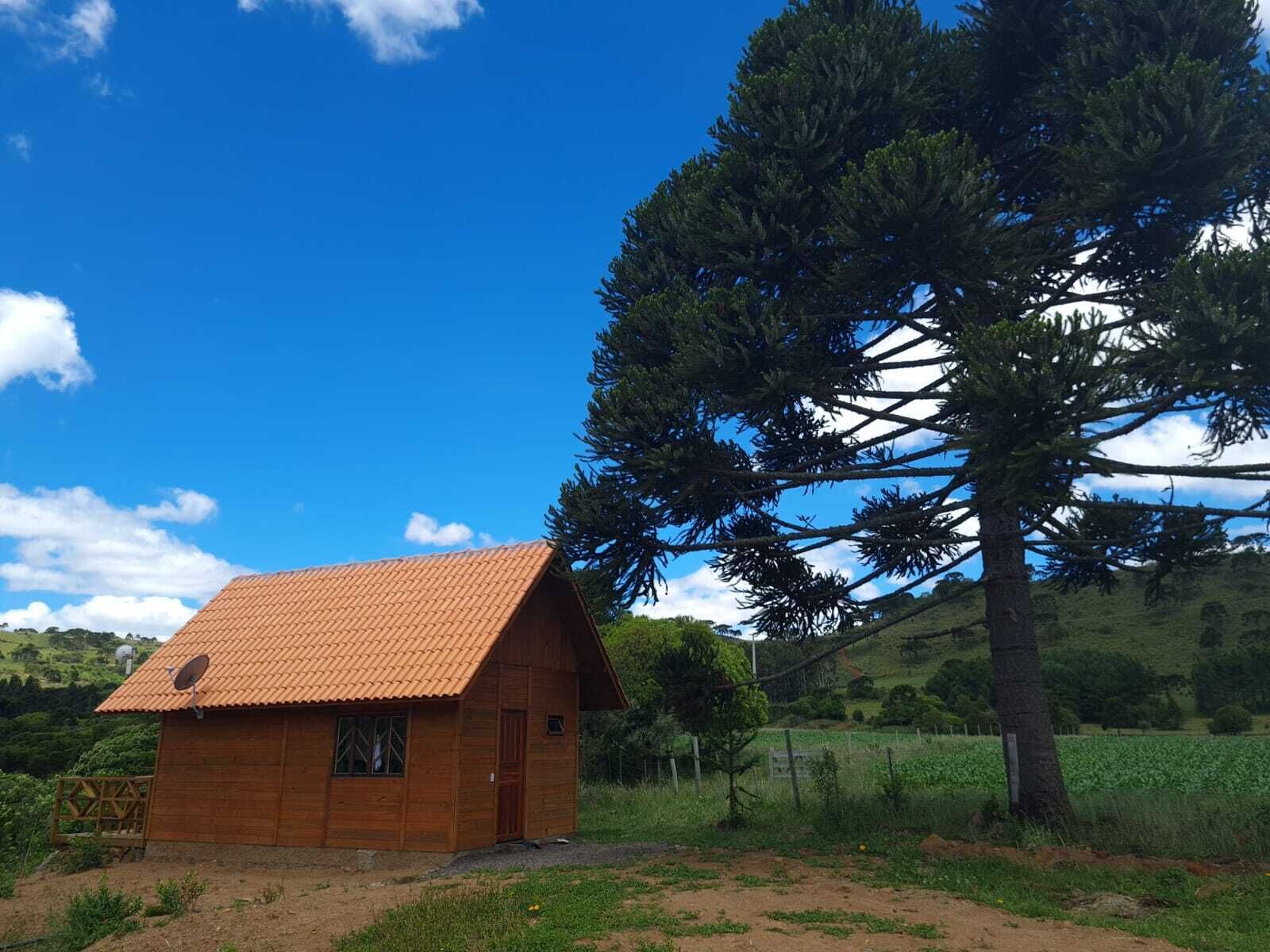 Een klein houten huisje met een schuin dak, gelegen in een grasveld met een grote boom.