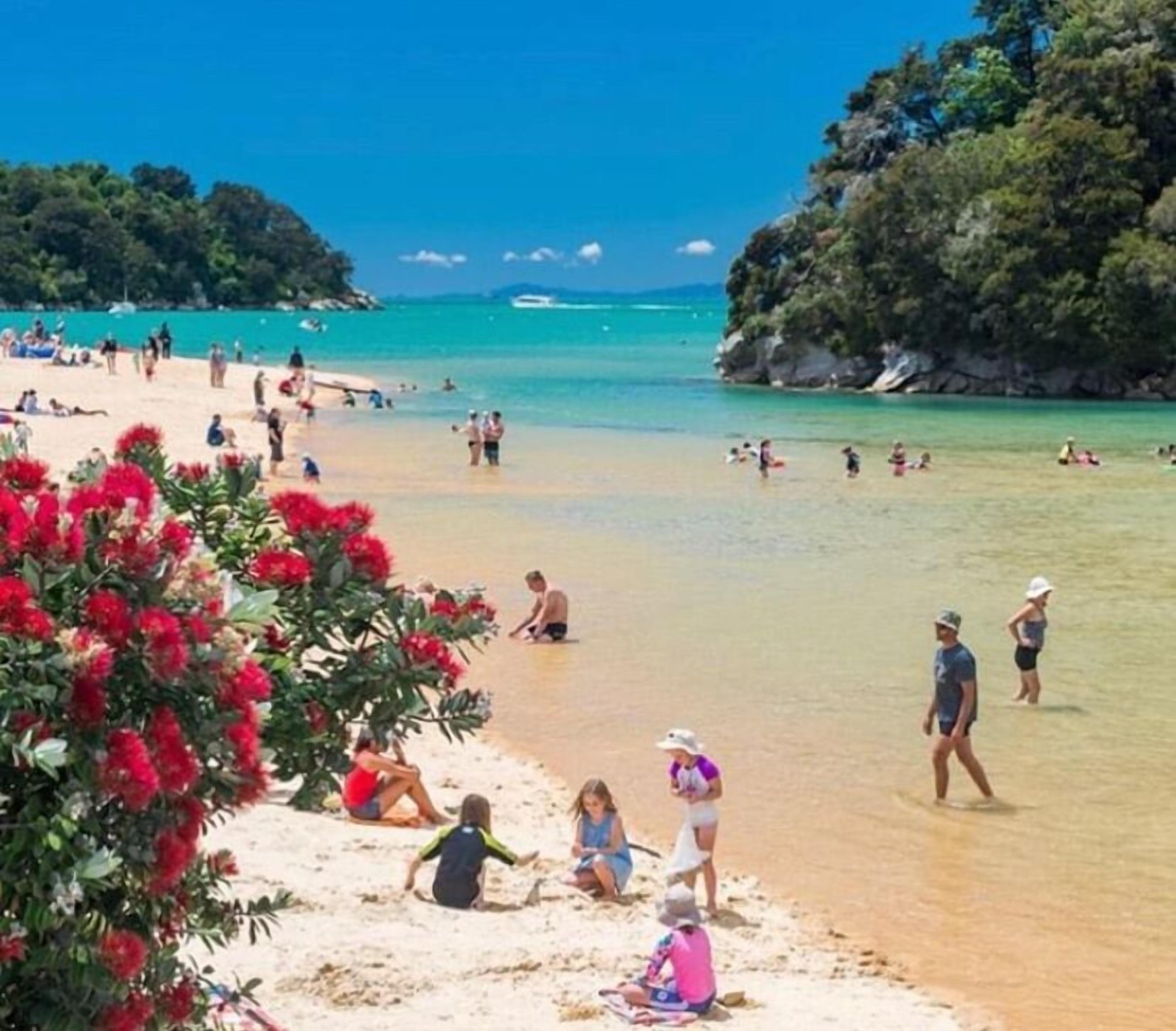 A beach with people sunbathing and swimming, surrounded by trees and clear blue water.
