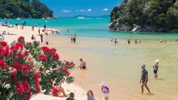 A beach with people sunbathing and swimming, surrounded by trees and clear blue water.