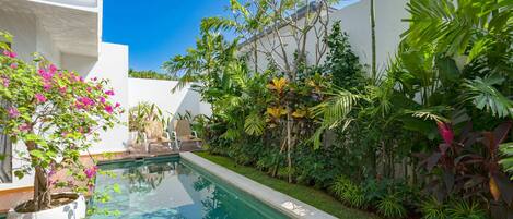 基础别墅 | 泳池 | 室外游泳池