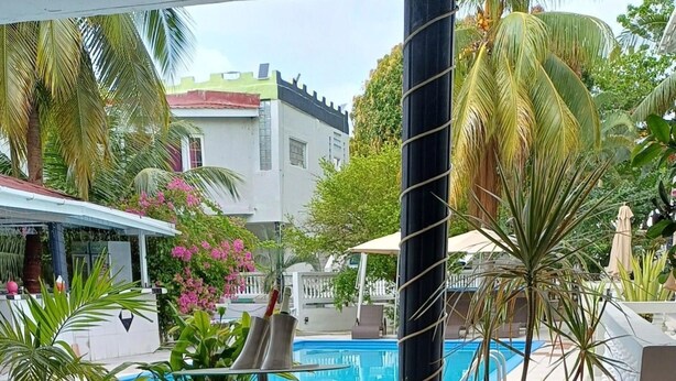 Un espace aménagé au bord d’une piscine, avec des palmiers et un bâtiment en arrière-plan.