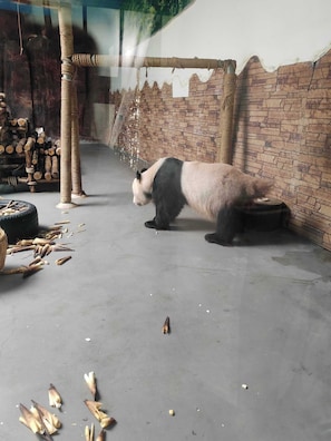 Property grounds - Adorable bed & breakfast in Chicago2222 (Chicago)