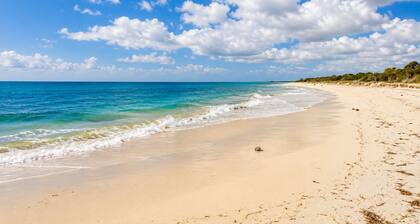 Sea Breeze