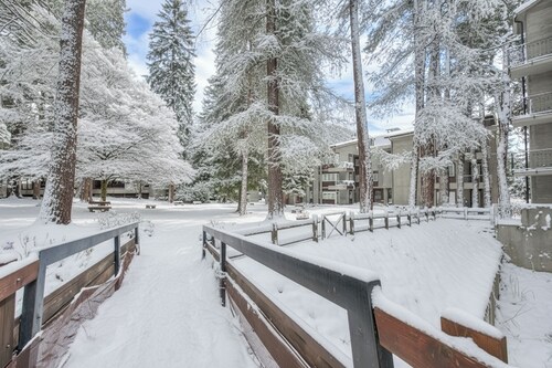 Comfort Tra Fiume E Pini, Bardonecchia, Italy