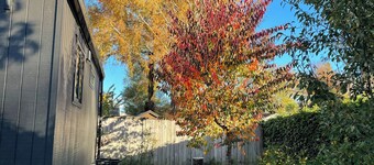 Travellers Hideaway – private, quiet garden, off-street parking, great location.