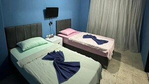 Una habitación con dos camas, un televisor de pantalla plana, una lámpara en el techo y una ventana con cortinas.
