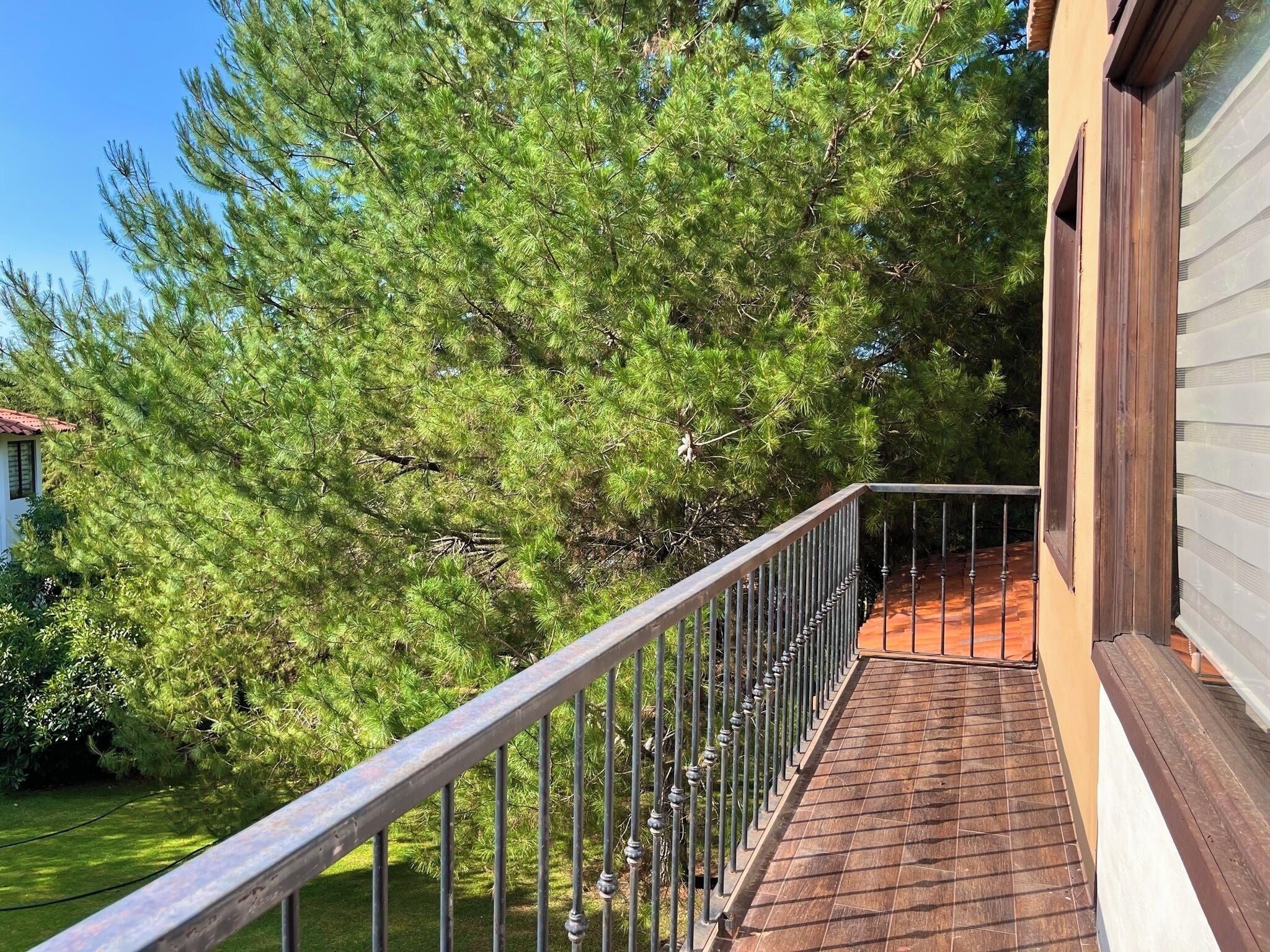 Una terraza de madera con barandilla de metal, rodeada de frondosos árboles verdes.