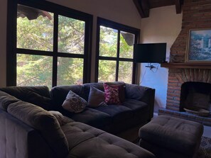 Family Cabin, Mountain View | Living area
