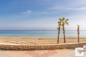Playa en los alrededores 